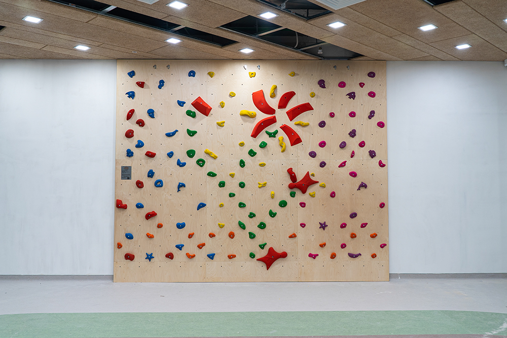 Cкалодром Aztec для детского сада