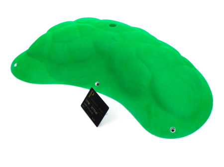 №22 Turtle