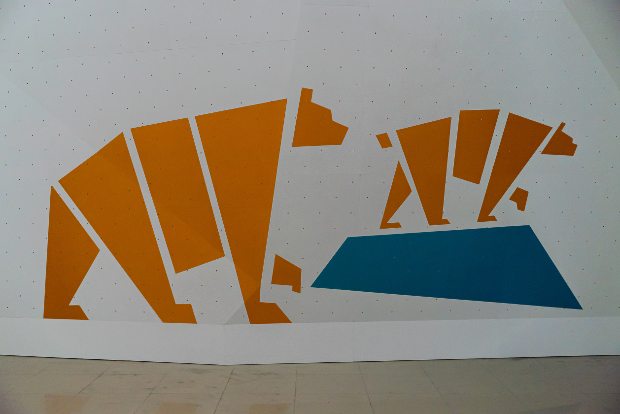 Скалодром Aztec для скалолазного центра "Край света"