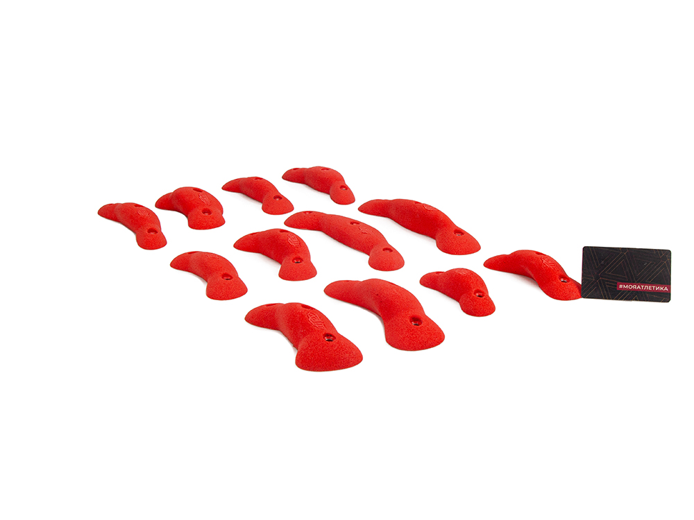 Worms I PU