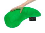№22 Turtle