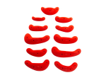 Clouds Screw PU